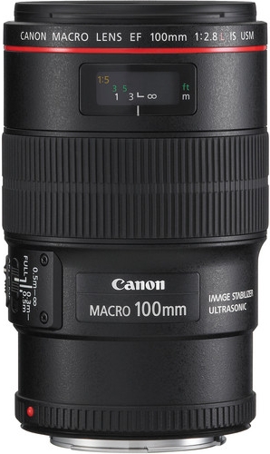 CANON EF 100mm 1:2.8L IS USM Macro (mit Zugabe)