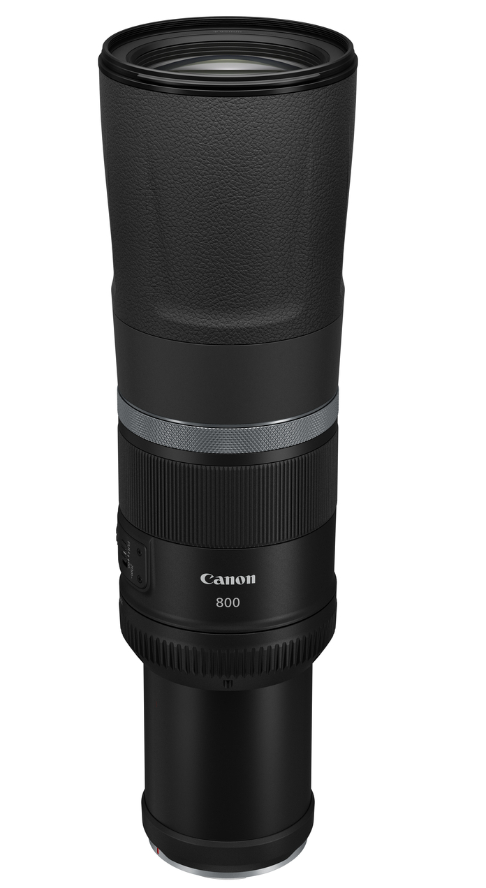 CANON RF 800mm 1:11 IS STM (mit Zugabe)