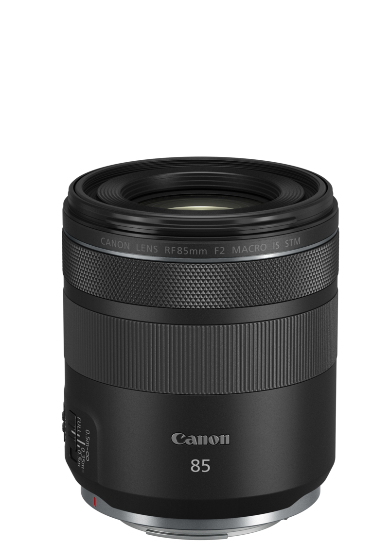 CANON RF 85mm 1:2 Macro IS STM (mit Zugabe)