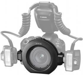 Hauptfoto