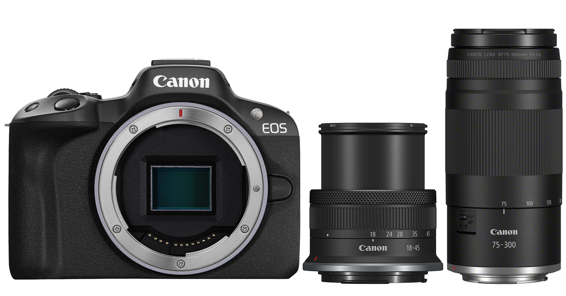 CANON R50 Kit mit 18-45 1:4.5-6.3 und 75-300 1:4-5.6 (Neuheit)