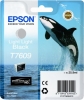 EPSON T7609 Tinte light light black für...