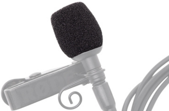 RODE WS-LAV Mikrofonwindschutz für Lavaliermikrofon (3 St.)